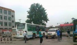 广州驾校爆料新闻最新,学员权益受损，行业乱象亟待整治